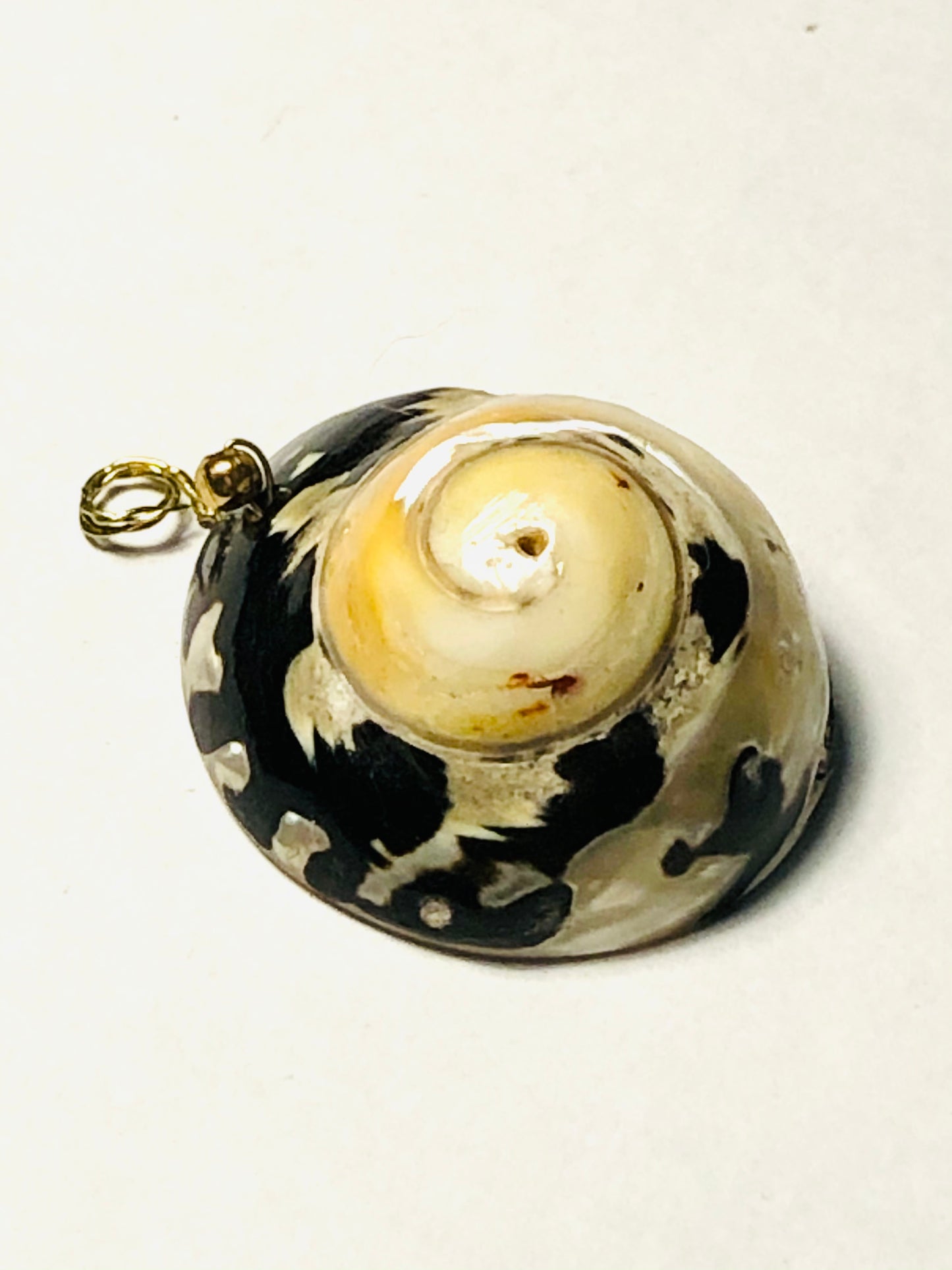 Cowrie Pendants